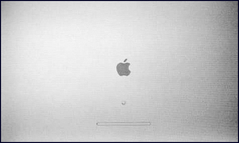 Mac OS X Grey Color Screen with Spinner and Progress Bar